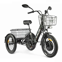 картинка Электровелосипед трёхколёсный GREEN CITY e-ALFA Trike магазин Fastoo являющийся официальным дистрибьютором в России 