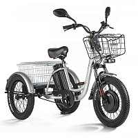 картинка Электровелосипед трёхколёсный ELTRECO PORTER FAT 500 UP! магазин Fastoo являющийся официальным дистрибьютором в России 